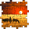 Africa Puzzle Game