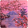 樱花益智游戏