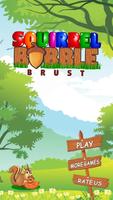 Squirrel Bubble Blast: Best Bubble Shooter poster