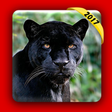 Real Black Panther Simulator icône