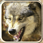 Ultimate Wolf Rampage 3d - Wolf Revenge Sim आइकन