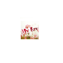 MyLuv Tanah Abang APK