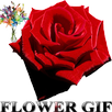 Flower Gif APK