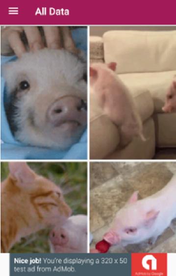 Android 用の 豚の壁紙 Apk をダウンロード