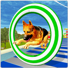 Crazy Dog Jump Stunt Sim 3D icône