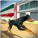 Dog Training Jump & Stunt Sim APK