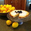Lemon Recipes