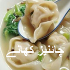 Chinese Recipes in Urdu icône