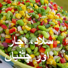 Urdu Salad Recipes icône