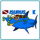 ”Club Isurus