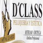 D'Class ícone