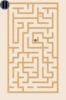 Crazy Maze 포스터