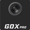 GDXPRO