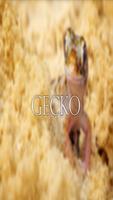 Gecko Wallpaper HD Complete 포스터