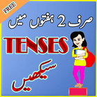 Learn English Tenses in Urdu icône