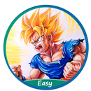 How to draw DB5 Easy APK