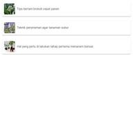 Tips bertani brokoli cepat panen Screenshot 1