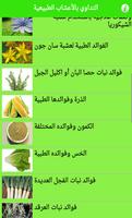 الشفاء بالأعشاب الطبيعية 截圖 2