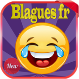 Blagues françaises 2016 icon