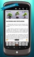 Bonsai Trees syot layar 2