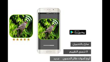 تغريد طائر الحسون بدون نت capture d'écran 2