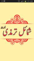 Shumail Tirmizi poster