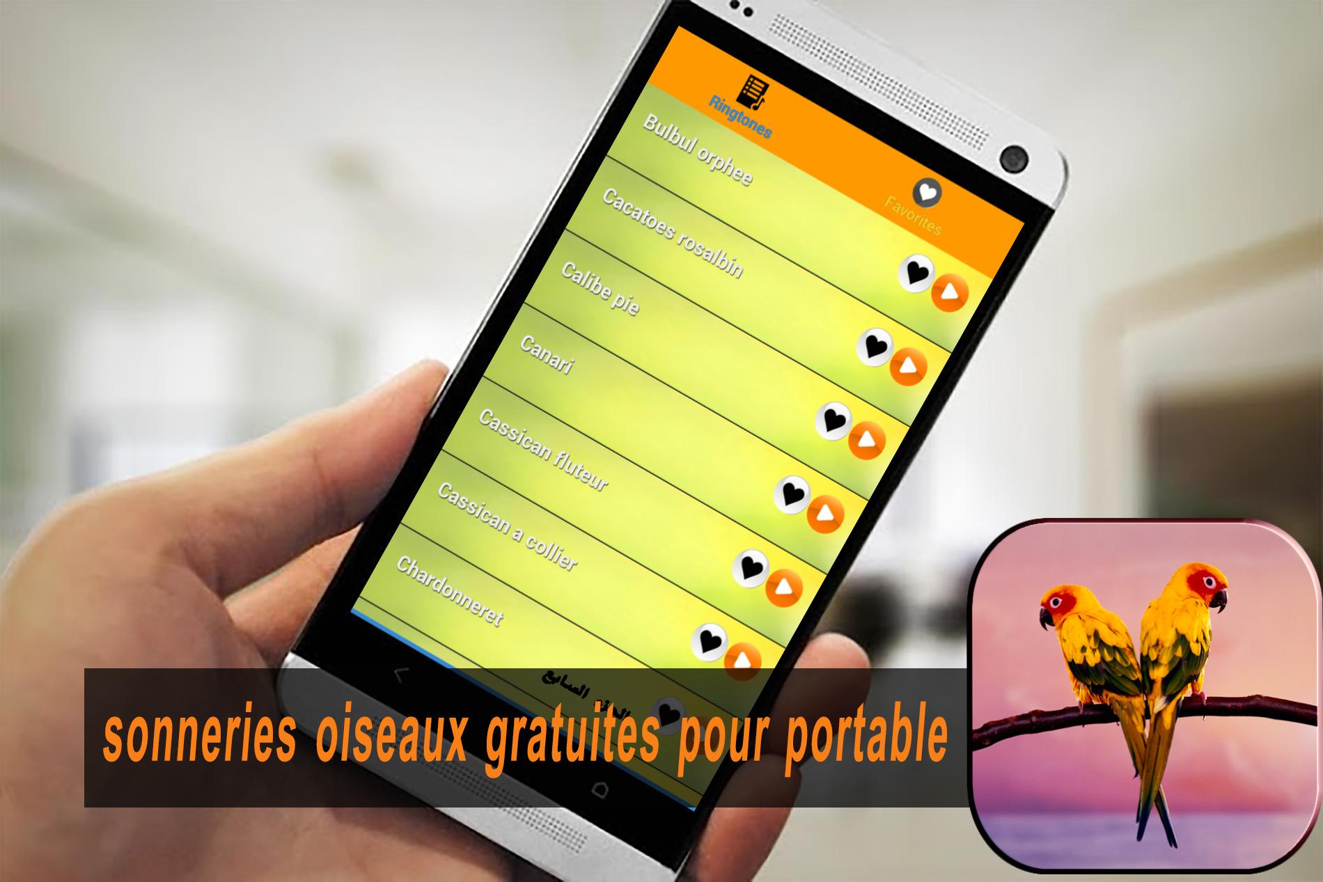 TÉLÉCHARGER SONNERIE OISEAU CANARI MP3 MP3 OISEAU TÉLÉCHARGER SONNERIE CANARI