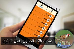 اصوات طائر الحسون بدون نت MP3 Cartaz