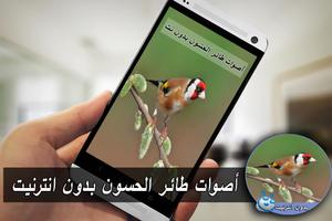 اصوات طائر الحسون بدون نت MP3 imagem de tela 1