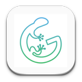 Gekko GPS