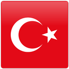 Turkish Number Whizz icône