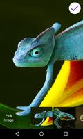 Chameleon Lock Screen-poster