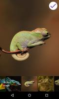 Chameleon Lock Screen স্ক্রিনশট 2