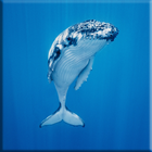 Pantalla Blue Whale Lock icono