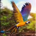 Parrot Lock Screen