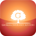 Georgia Insurance icône