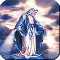 ”Virgin Mary Live