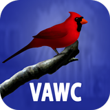 VAWorks 图标