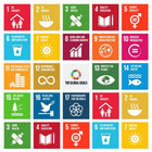 SDG Youth Action Mapper icon