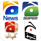 Geo TV Channels icône