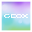 Geox Watch Face APK
