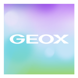 Geox Watch Face