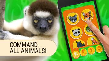 Translate Animals. Simulator Affiche