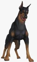 Dobermann Dogs New Jigsaw Puzzles screenshot 1