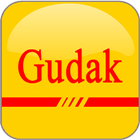 Best Guide - Gudak Camera icono