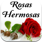 Imagenes De Rosas Hermosas Gratis Para Dedicar ícone