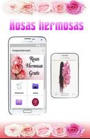 Imagenes De Rosas Hermosas Gratis Para Dedicar Cartaz