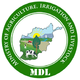 MDL أيقونة