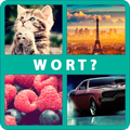 4 Bilder 1 Wort