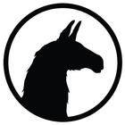 Llama Sweet Host icône